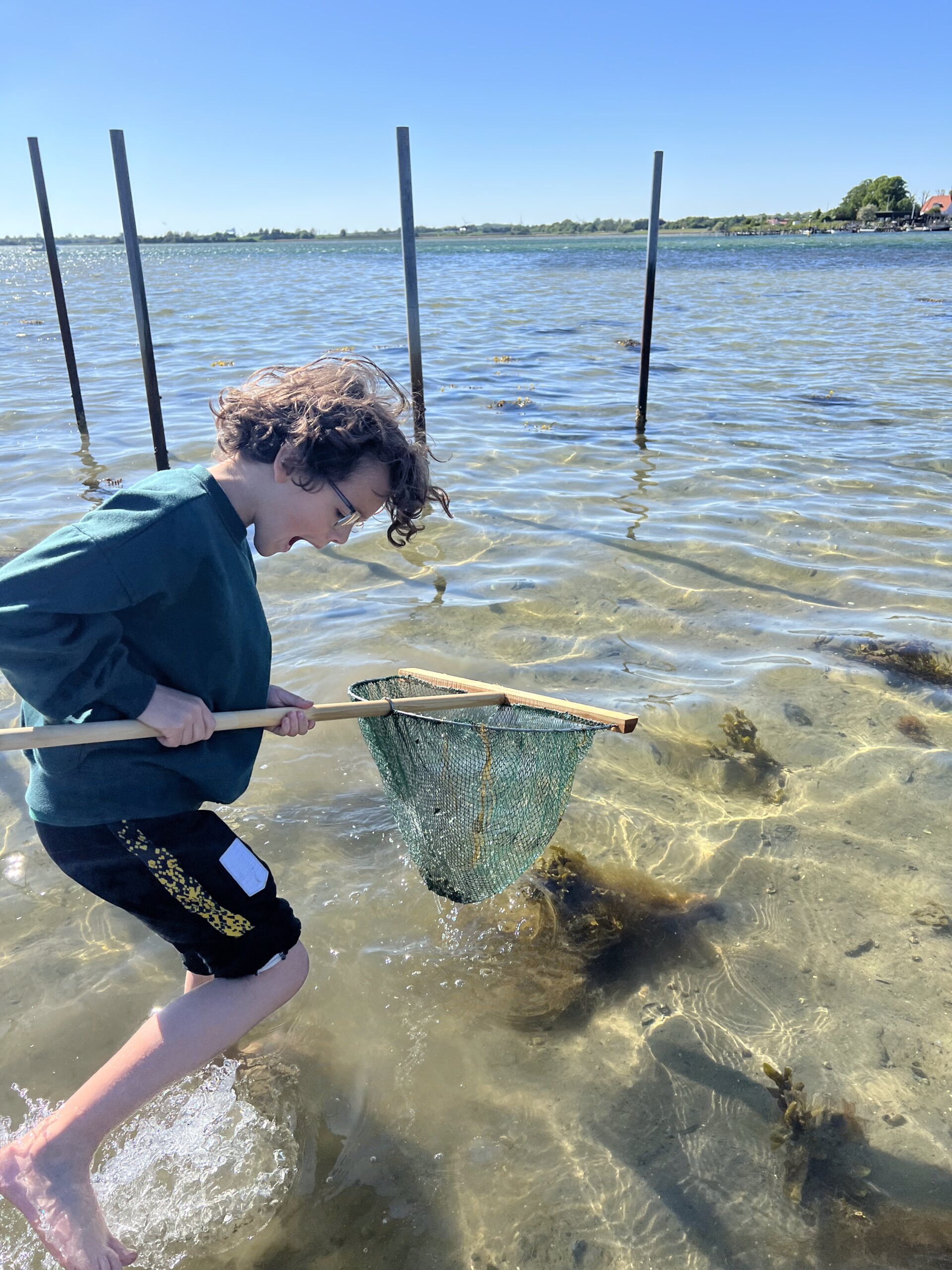 Strandtur og kystdetektiverne i Kerteminde